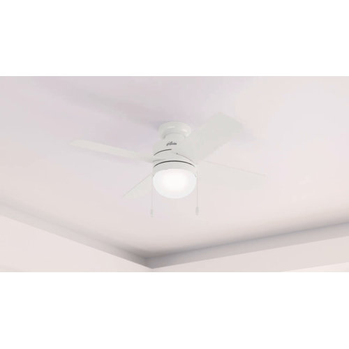 Hunter Fan Timpani 44'' Ceiling Fan with LED Lights & Reviews Wayfair